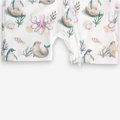 Enterito Corto 100% Algodón Pima – Pingüino y Calamar