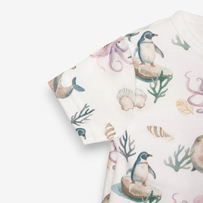 Enterito Corto 100% Algodón Pima – Pingüino y Calamar