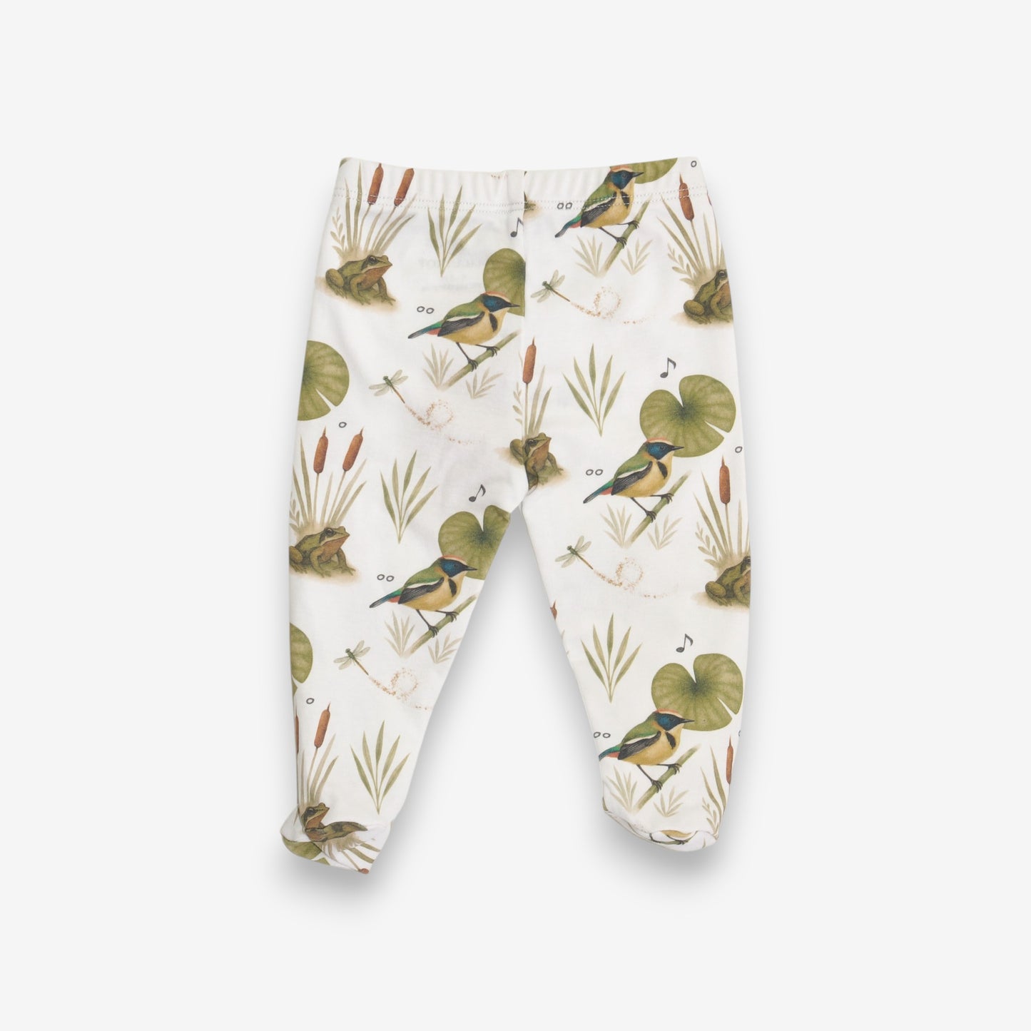 Patitas 100% Algodón Pima – Siete Colores y Ranita de Darwin