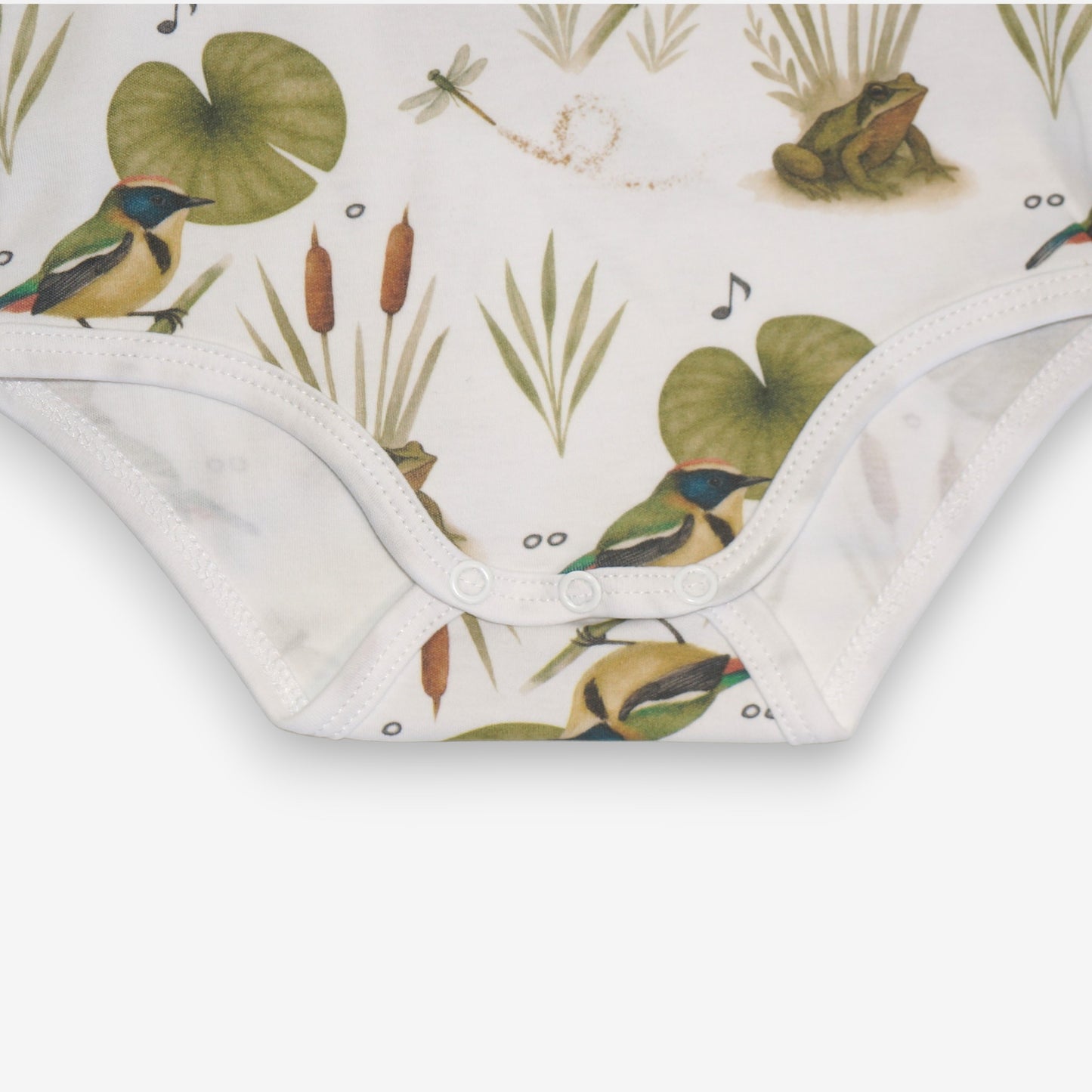 Pilucho Manga Larga 100% Algodón Pima – Siete Colores y Ranita de Darwin