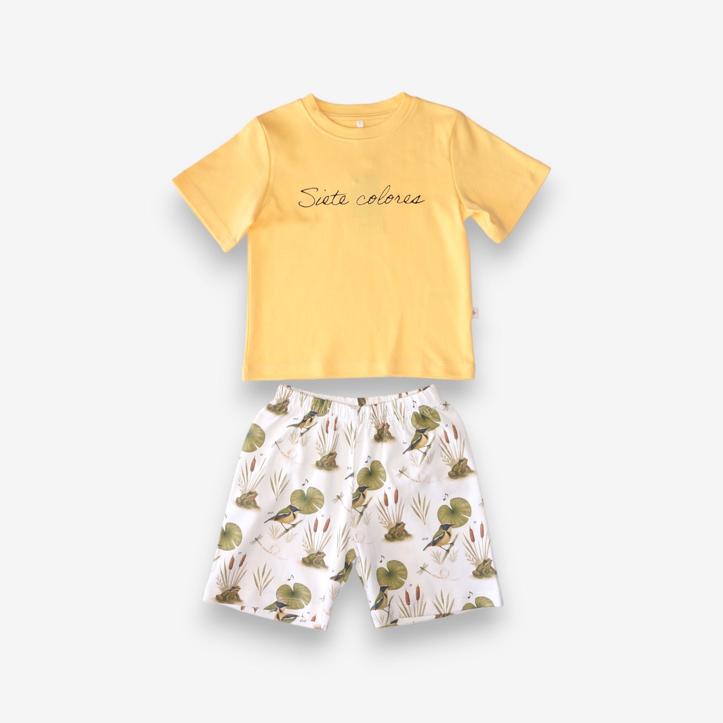 Pijama Niño 100% Algodón Pima – Siete Colores y Ranita de Darwin