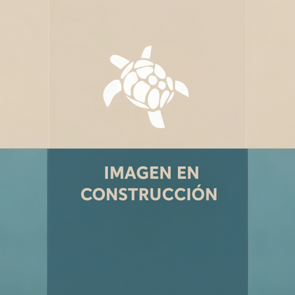 Pijama Niña 100% Algodón Pima – Tortuga y Chungungo